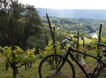 Savoie vineyards - Peak Retreats The Lakes Tour