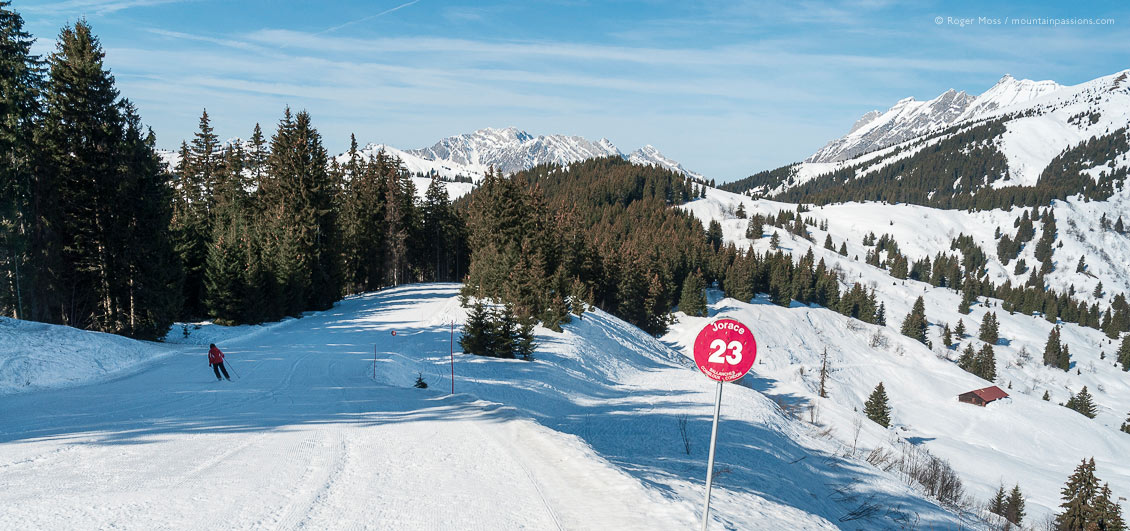 best french alps skiing